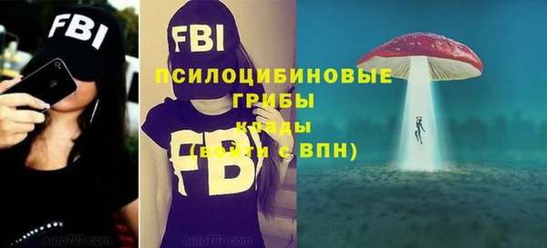 мдпв Бронницы