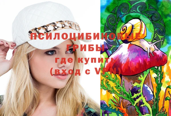 соль курить ск Богородск