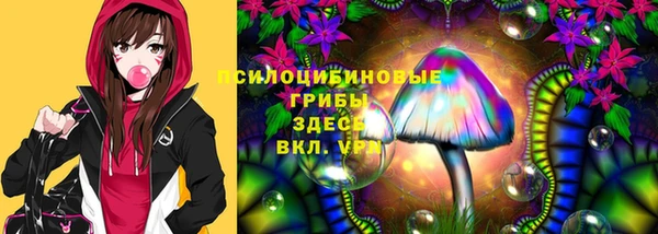 мдма Богданович