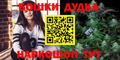 индика Гай