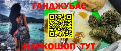 индика Гай