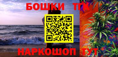 индика Гай