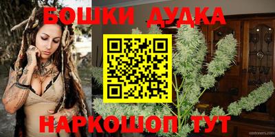 индика Гай