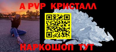 спиды Гагарин