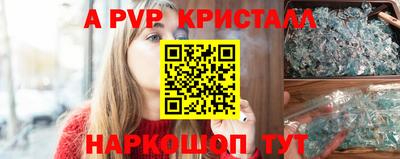 индика Гай