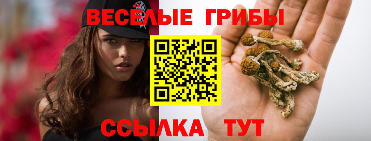 Пыть-Ях  Псилоцибиновые грибы Psilocybine cubensis  магазин продажи наркотиков  Псилоцибиновые грибы Psilocybine cubensis  Вход с VPN 